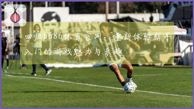 回归6686体育官网，重新体验新手入门的游戏魅力与乐趣