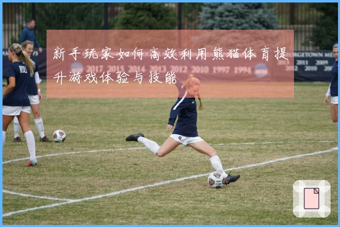 新手玩家如何高效利用熊猫体育提升游戏体验与技能